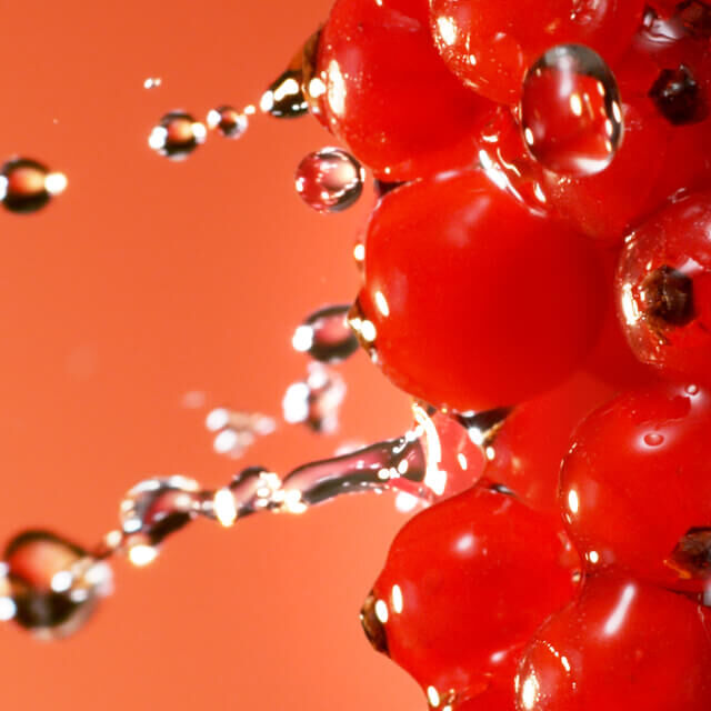 Aroma de Frutas Vermelhas no Novo Idole