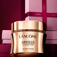 absolue visual