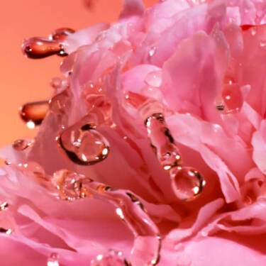 Absoluto de Rosa Damascena no Idole Peach’ N Roses