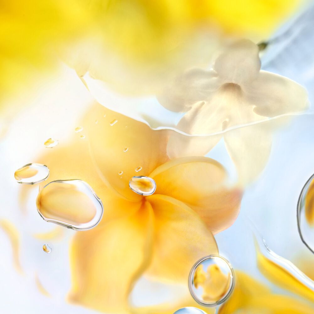 LES O ZENITH Lancome e um perfume de Monoi