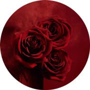 Ingrediente Extrato de Grande Rosa de L’ABSOLU ROUGE DRAMA MATTE de Lancôme